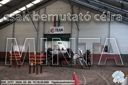 Mintakép 20260208-237