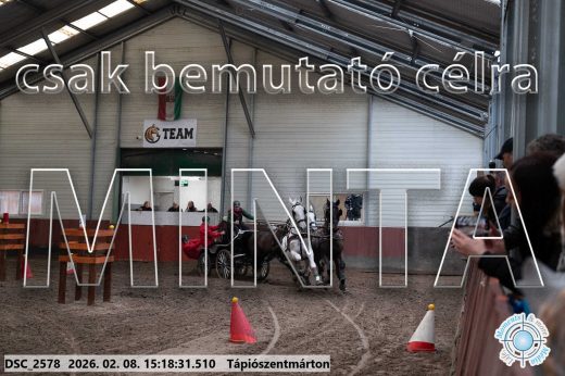 Mintakép 20260208-238