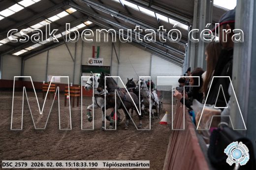 Mintakép 20260208-239