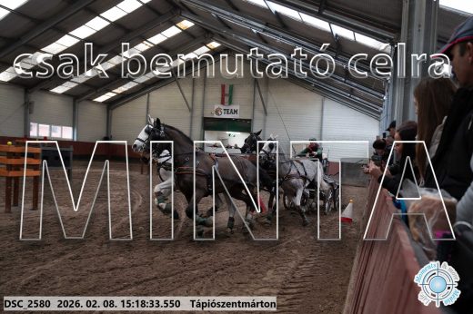 Mintakép 20260208-240