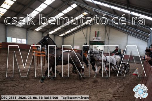 Mintakép 20260208-241