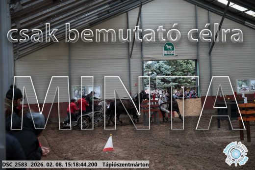 Mintakép 20260208-243