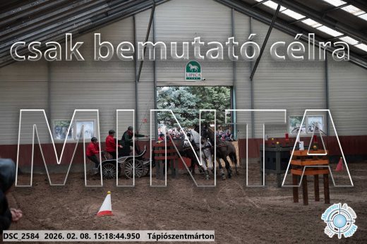 Mintakép 20260208-244