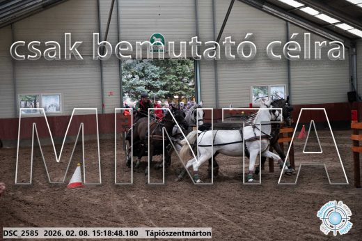 Mintakép 20260208-245