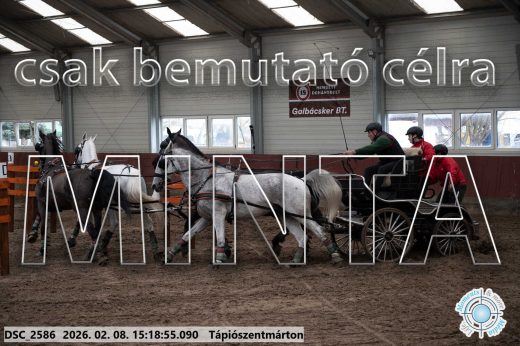 Mintakép 20260208-246