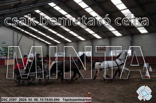 Mintakép 20260208-247