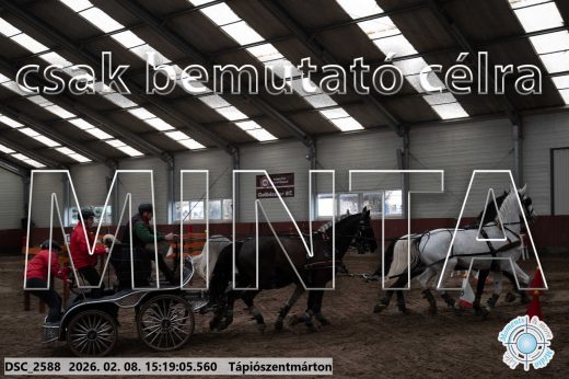 Mintakép 20260208-248