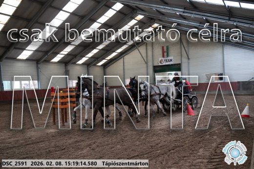 Mintakép 20260208-249
