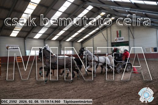 Mintakép 20260208-250