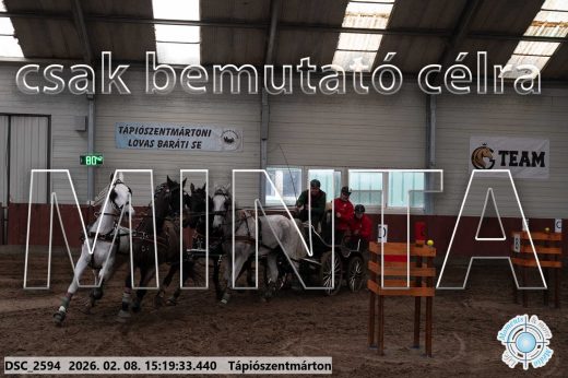 Mintakép 20260208-252
