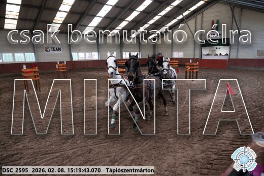 Mintakép 20260208-253