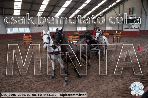 Mintakép 20260208-254