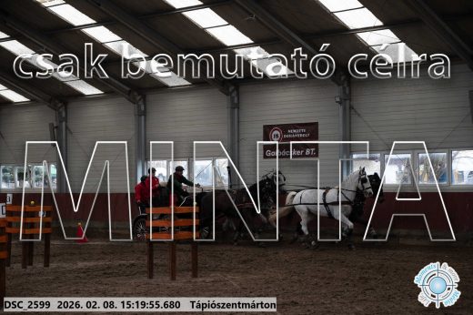 Mintakép 20260208-257