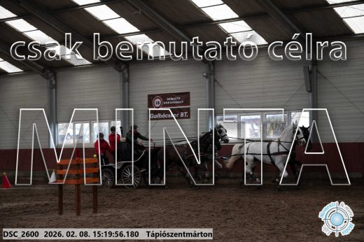 Mintakép 20260208-258