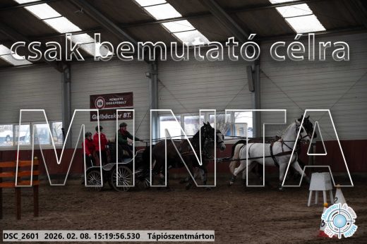 Mintakép 20260208-259