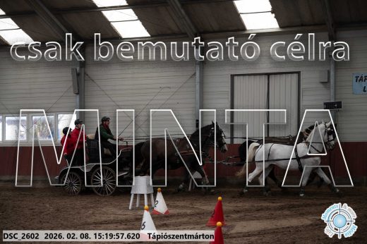 Mintakép 20260208-260