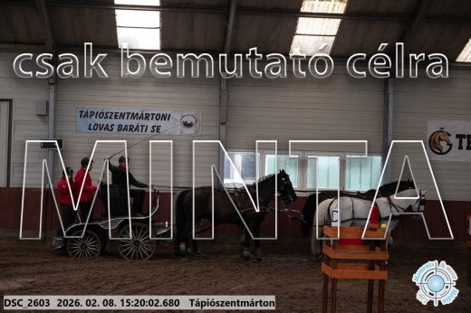 Mintakép 20260208-261