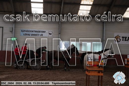 Mintakép 20260208-262