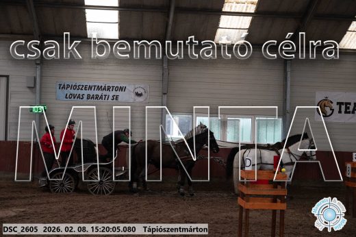 Mintakép 20260208-263
