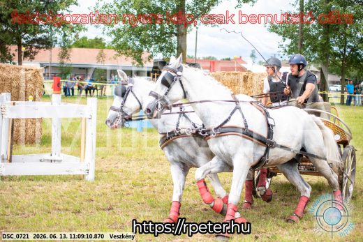 Mintakép 20260613-536