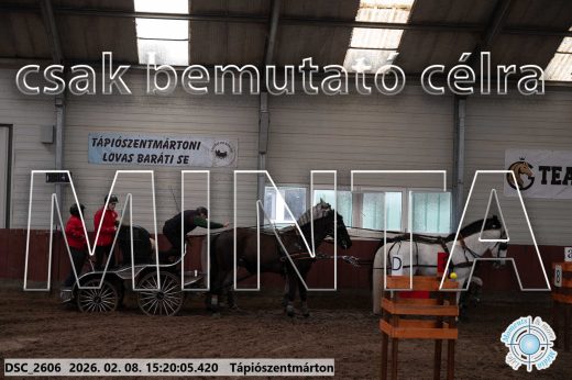 Mintakép 20260208-264