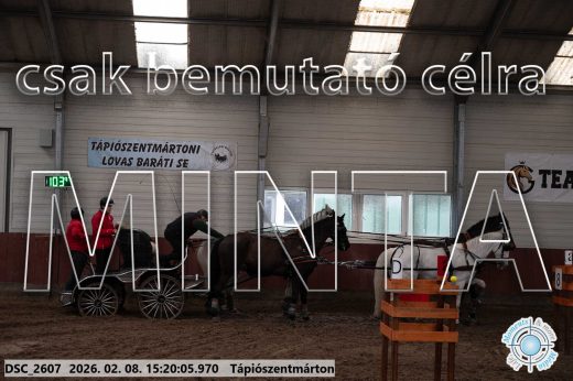 Mintakép 20260208-265