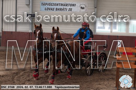 Mintakép 20260207-170