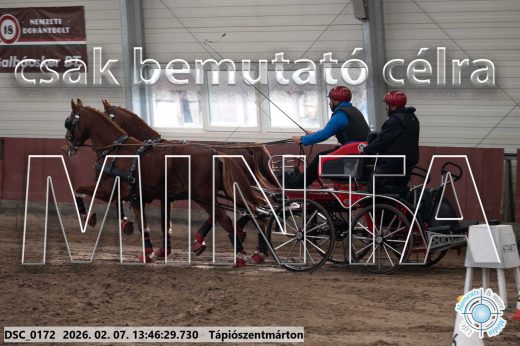 Mintakép 20260207-174