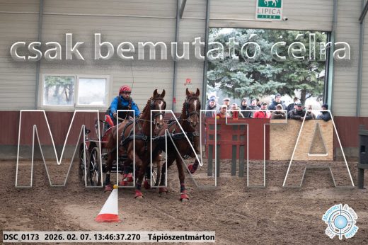Mintakép 20260207-175