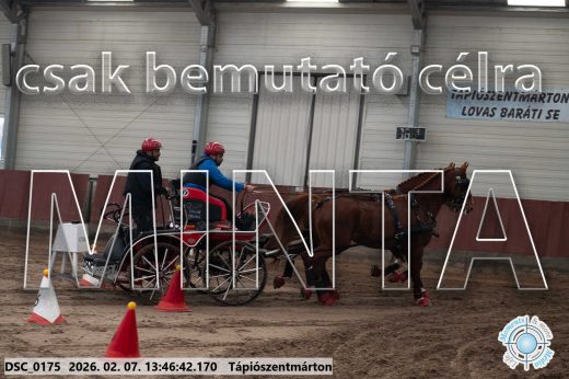 Mintakép 20260207-177