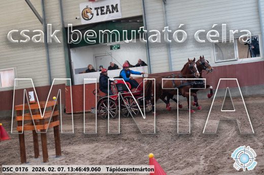 Mintakép 20260207-178