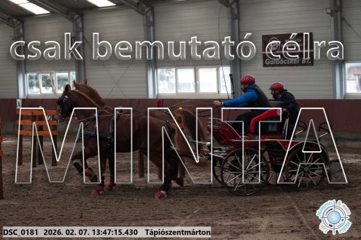 Mintakép 20260207-181