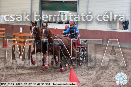 Mintakép 20260207-185