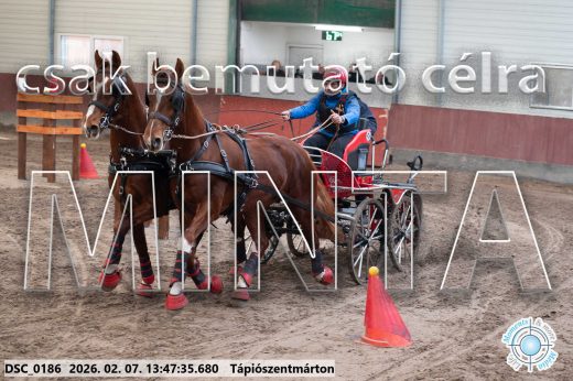 Mintakép 20260207-186