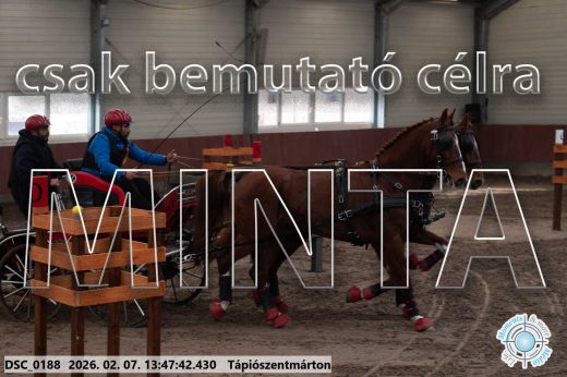 Mintakép 20260207-188
