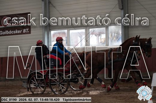 Mintakép 20260207-189