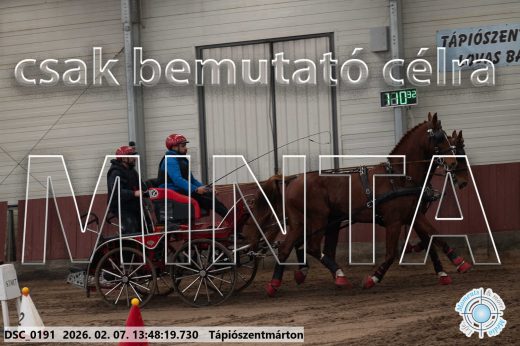Mintakép 20260207-190