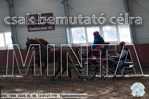 Mintakép 20260208-267