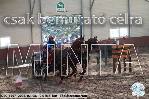 Mintakép 20260208-270