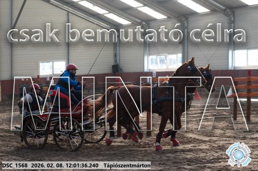Mintakép 20260208-271