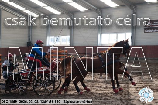 Mintakép 20260208-272