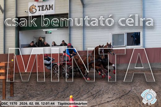 Mintakép 20260208-273