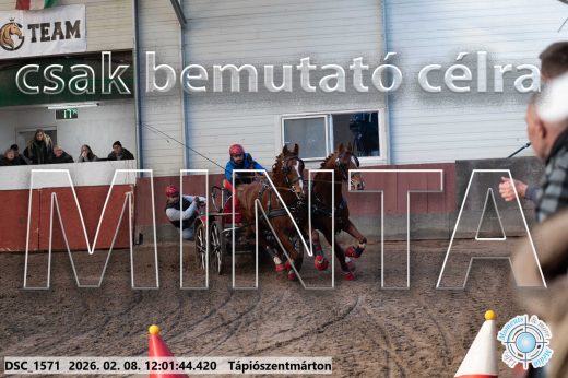 Mintakép 20260208-274