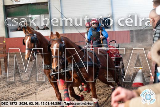 Mintakép 20260208-275
