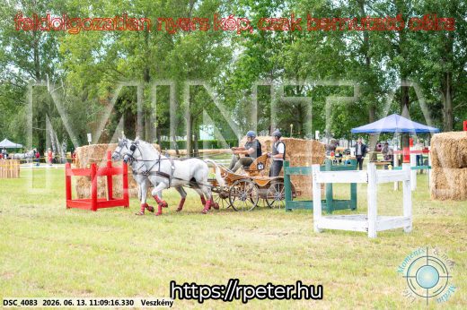 Mintakép 20260613-540
