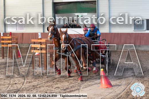 Mintakép 20260208-277