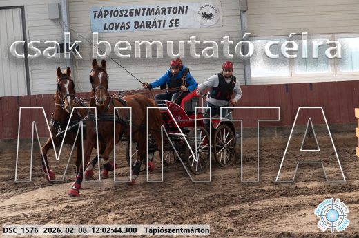 Mintakép 20260208-279