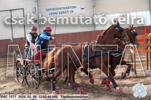 Mintakép 20260208-280