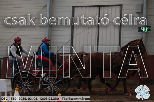 Mintakép 20260208-282