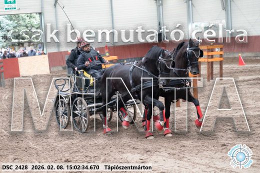 Mintakép 20260208-284